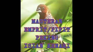 EMPRIT PEKING PASTI LANGSUNG NYAUT, DENGAR MASTERAN INI