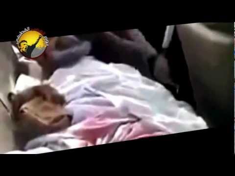 أنشودة النمر الــجــريــح للرادود الحسيني أنور الدلفي