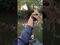 #floattuber ##floattube ##pikefishing #fishing #nature #passion ##viralshort ##foryou