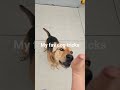dont worry I gave her lots of treats after!