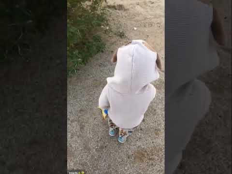 تدري اني اعشقك ماشاءالله السعودية أطفال  فديو فلوق