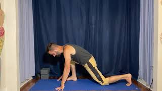 MOXIE Yoga's Advanced Posture of the week: Flying Lizard