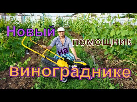 Подарок моей семьи .Газонокосилка бензиновая .