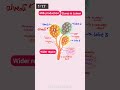 Mammary Glands Within 2 Min 😱 #neet #neet2026 #ytshorts #yt #biology #neetexam #humanreproduction