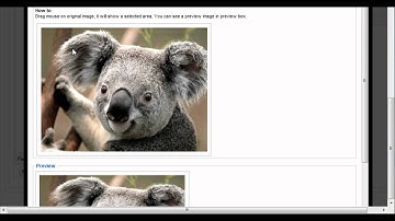 Joomla: Use plugin Easy Crop Image