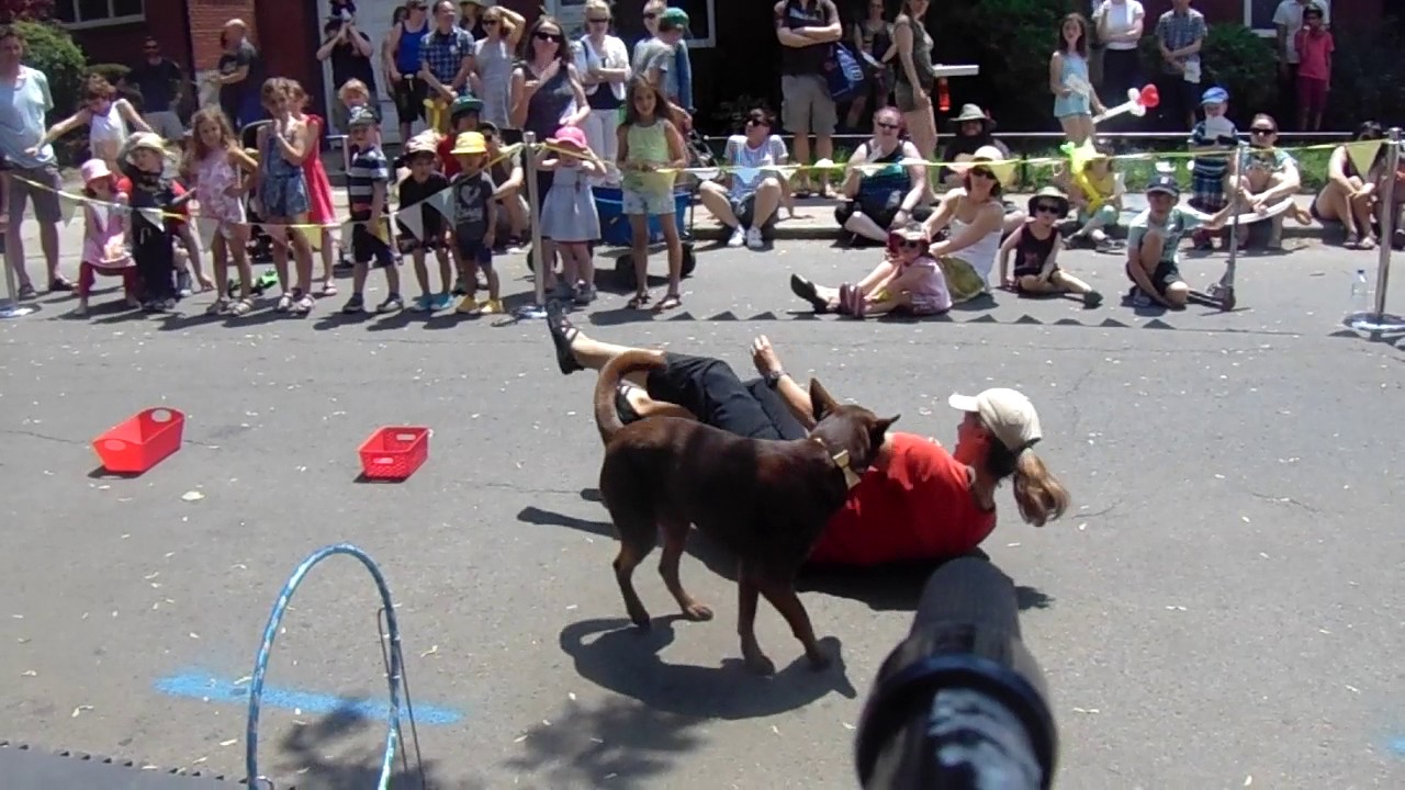 Rue boxes etc at Roncy Rocks