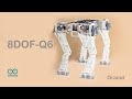 8DOF-Q6 - Big Quadruped Robot
