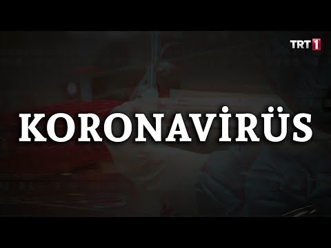 Video: Vezüv'ü kim yarattı?