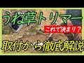 【うね草取りまー】畝間の草刈りはこれで決まり？たべものがかり農場
