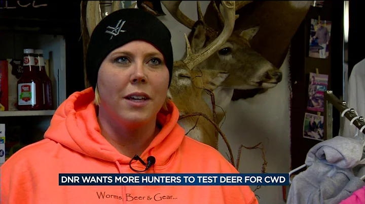 DNR encouraging hunters to test deer for chronic wasting disease