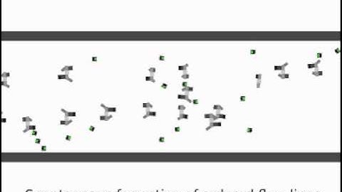 Human-friendly robot swarm navigation