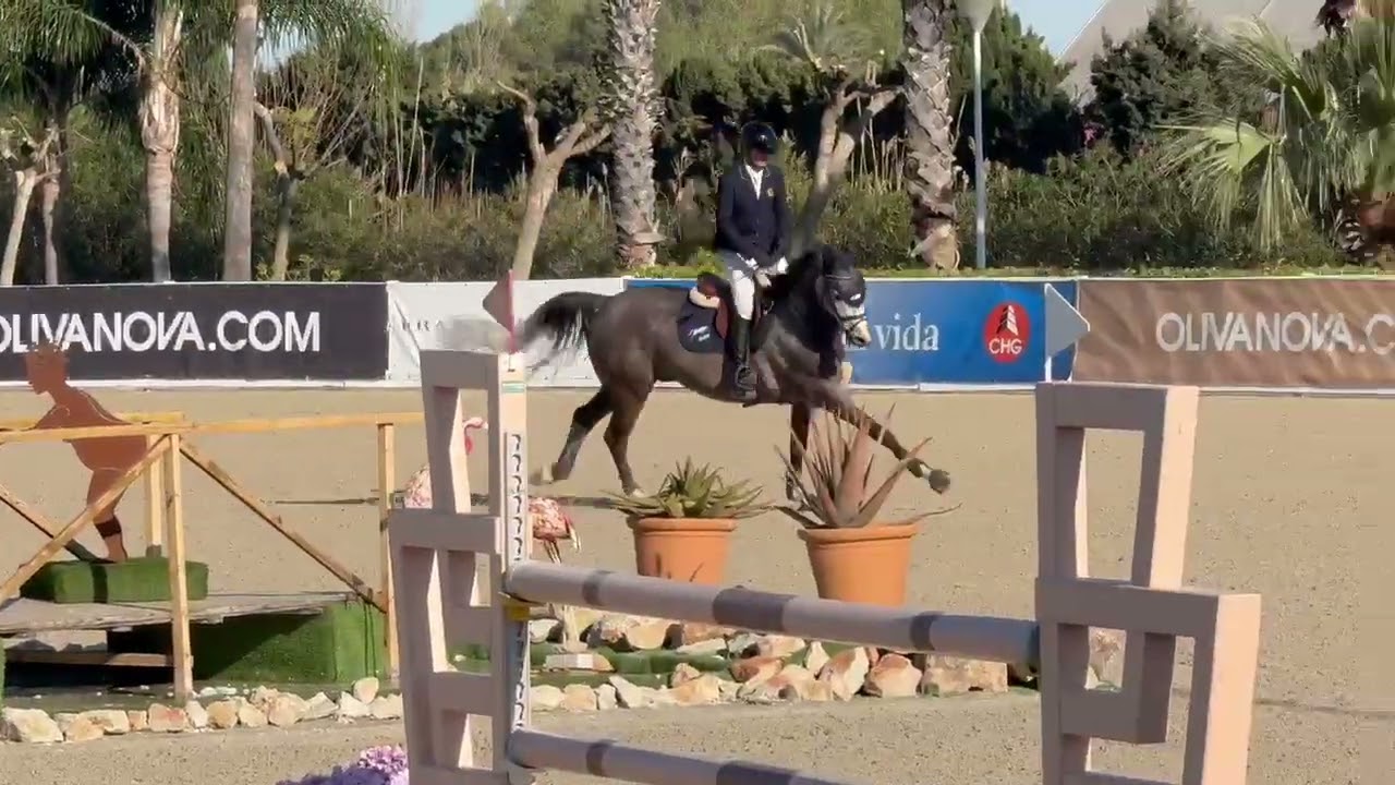 Tomann DoMm (1,35) Oliva Nova, 24/02.