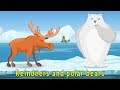 Animal Habitats and Adaptations