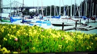 Sony W802 LED LCD: More syle than value