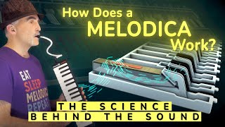 How Does A Melodica Work? The Science Behind the Sound (鍵盤ハーモニカの仕組み 音の背後にある科学)