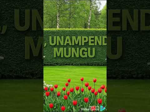 Papa PETER Aleluya Osana