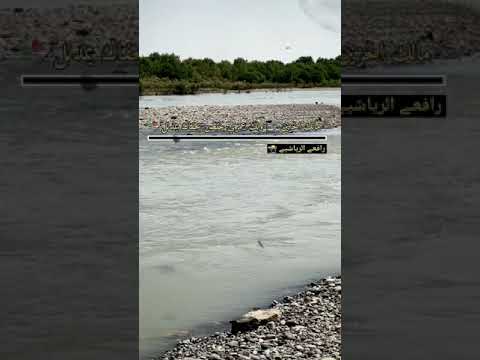 مالك الحزين ولك عمري خلص بجفاك يمدلل