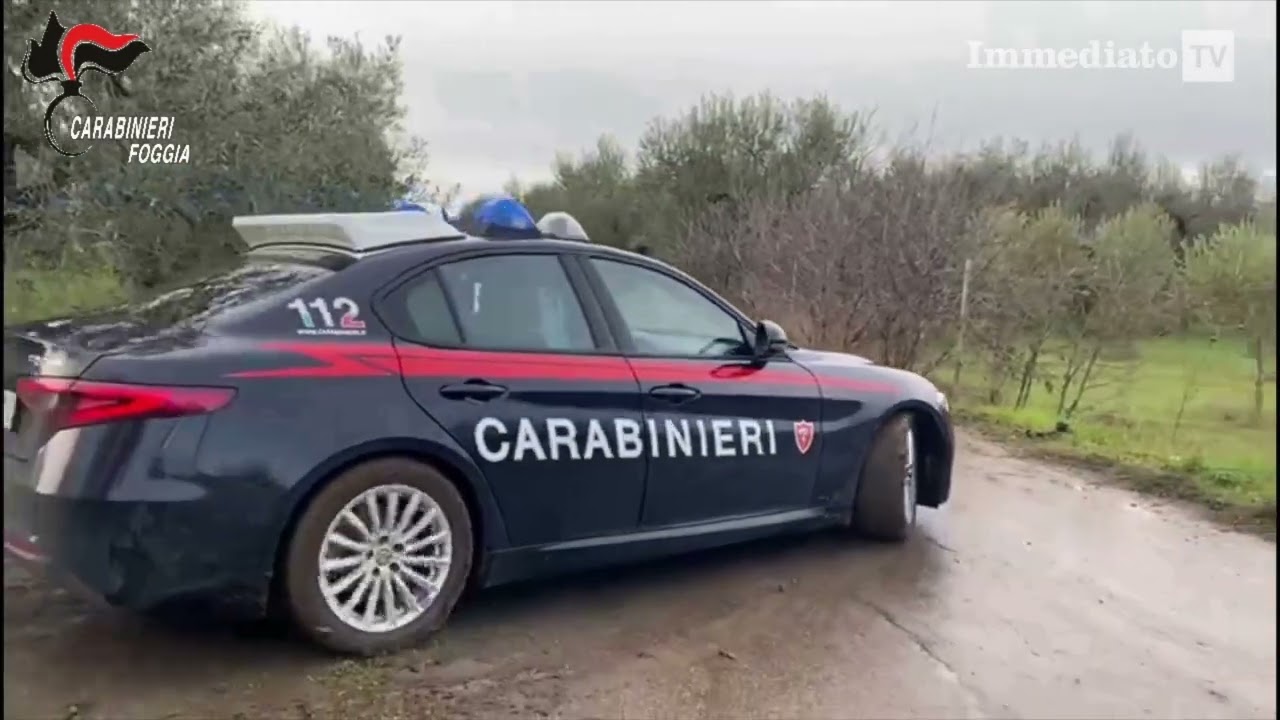 FURTI D'AUTO E PEZZI DI RICAMBIO A CERIGNOLA, ARRESTI DEI CARABINIERI