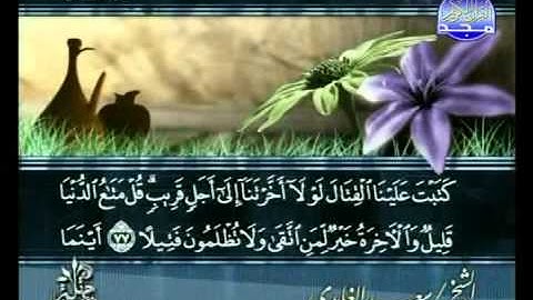 المصحف المرتل للقارئ الشيخ سعد الغامدي | الجزء ( 5 )
