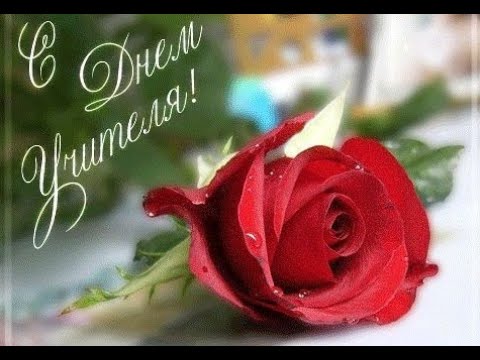 С днем учителя! Спасибо за знания и Ваш не легкий труд!