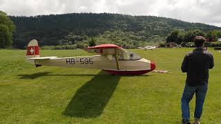 Röhnlerche Start Alex