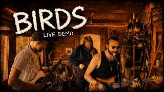 "Birds", Mammal Town | Live Demo
