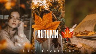 PRÉRÉGLAGE AUTOMNE - TON ORANGE MAUVAISE - PRÉRÉGLAGE LIGHTROOM PREMIUM TÉLÉCHARGEMENT GRATUIT screenshot 3