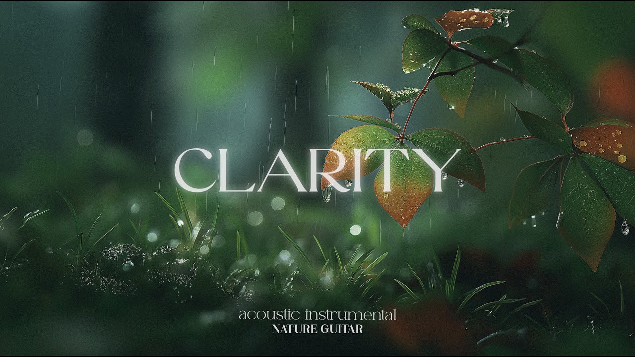 CLARITY | Rain-Kissed Acoustic Guitar Meditation