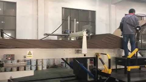 Dinglong TP1224 FFG inline machine.