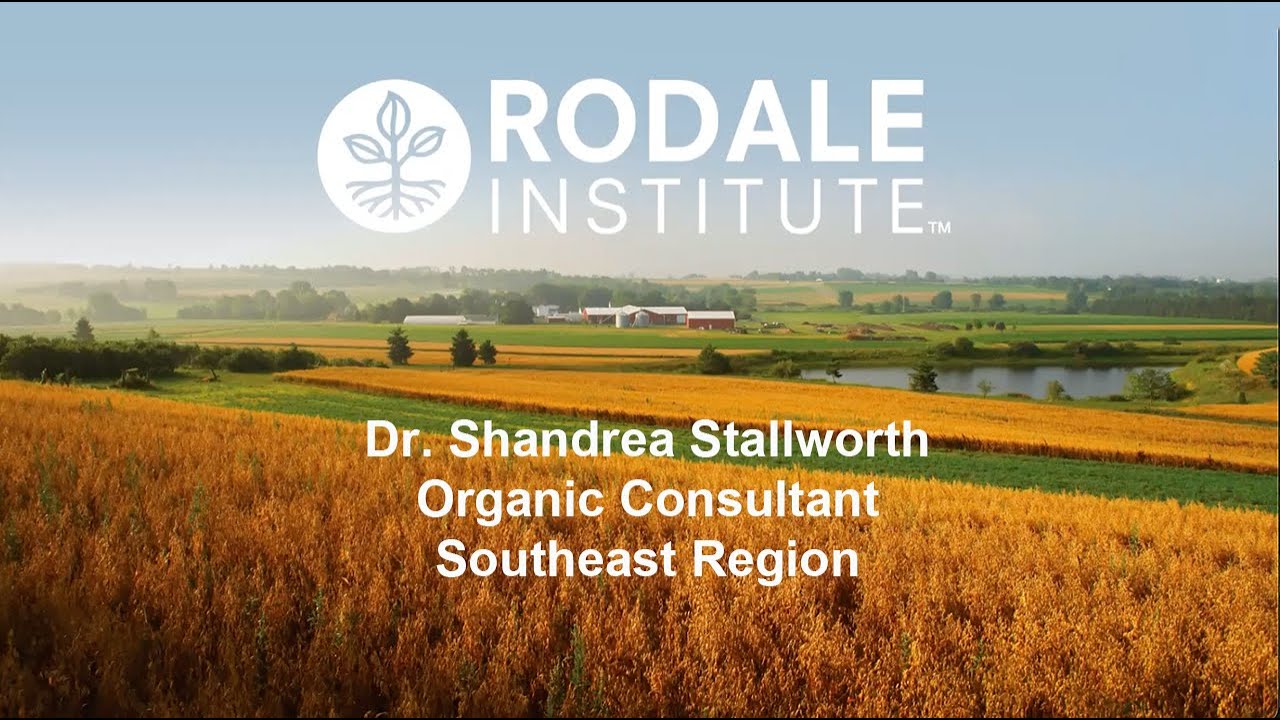 Unlocking the Power of Regenerative Organic Agriculture