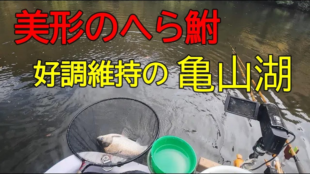 亀山湖・笹川⑤　へら鮒釣り　2025年11月