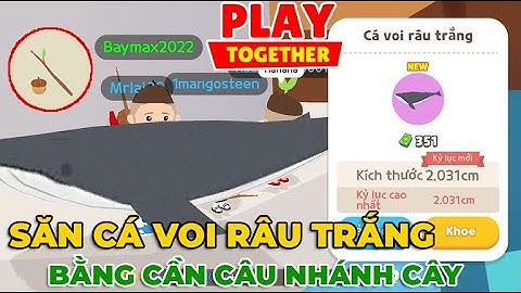 PLAY TOGETHER | SĂN CÁ VOI RÂU TRẮNG BẰNG CẦN CÂU NHÁNH CÂY Ở HẢI ĐĂNG | C05