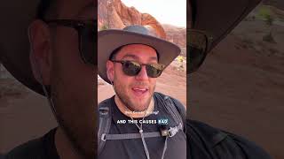 What genetic testing is actually beneficial for you, and is your genetic data safe?