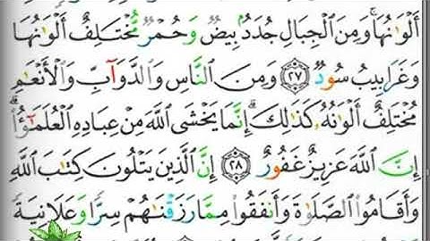 مصحف التجويد صفحة  437 ابراهيم الأخضر
