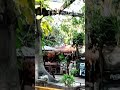 Playa del Carmen, Mexico