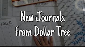 Using the New Dollar Tree Health and Fitness Goals Journals | June Frankenplanner Setup