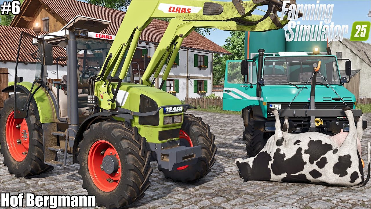 Hof Bergmann! CLEANING STABLES, FEEDING ANIMALS, ACTIVATE BUTCHERY, LOADING BALES | Hof Bergmann | 6