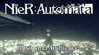 Take A Break And Relax With 2B Nier Automata Peaceful Music And Ambience