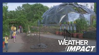 Forest Park working to recover after the tornado