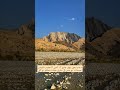 #shortvideo