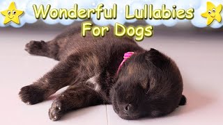 Effective Sleep Music For Dogs And Puppies ♫ Calm And Relax Your Dog Immediately