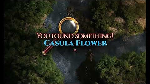 The Genesis Order  Update V.1.00 Final Version: Full Walkthrough  [April 3]