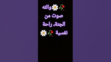 تلاوة عطرة تريح القلب #راحة_نفسية #تلاوة_خاشعة #قران #اكسبلور #quran #جيش_المينيز #هيدشوت_فري_فاير