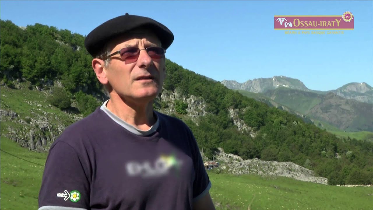 L'AOP Ossau-Iraty et la vie en estive