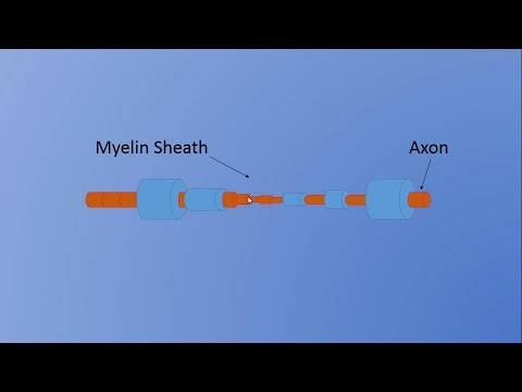 Video: Axonal Neuropati