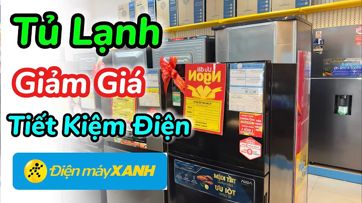 Tủ Lạnh Dưới 300 Lít Tiết Kiệm Điện tại Điện máy XANH