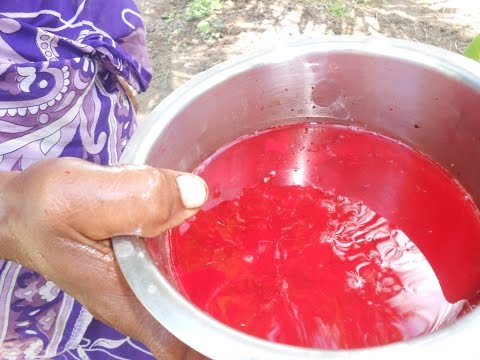 Cooking Goat Blood Fry In My Village - Yummy Taste - Food Money Food