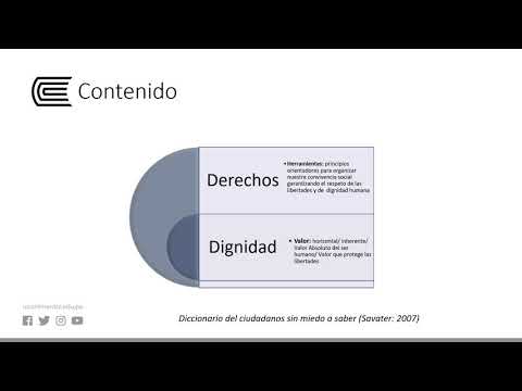 ¿Cuál Es La Definición De Discriminación En El Empleo?