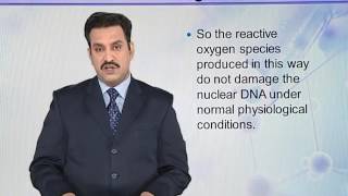 BIO731 Topic062