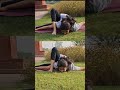 Yoga Poses Can you do this?... If you can #practice#flexibility#mobelity#shortvideo